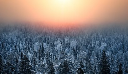 Sumuinen auringonnousu ja lumisia kuusia tunturin huipulta kuvattuna