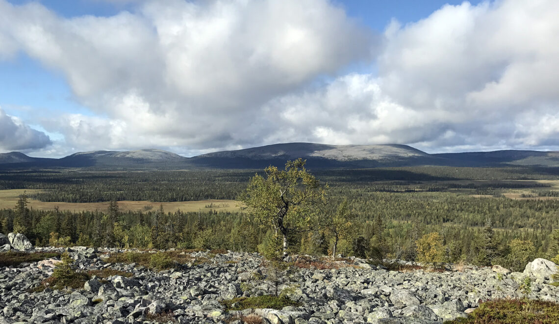 Luonnonsuojelualueiden ilmasto on muutoksessa